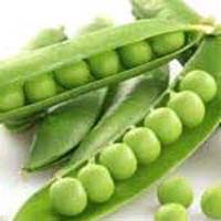 Fresh Green Peas