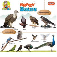 Krazy Birds Chart