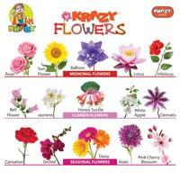 Krazy Flowers Chart