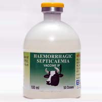 Hemorrhagic Septicemia Vaccine