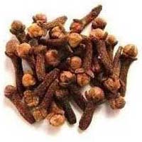 Clove Pods