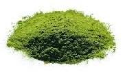 Wheat Grass Powder