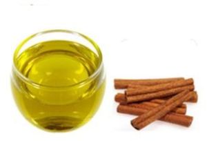 Cassia Torea Seeds Oil