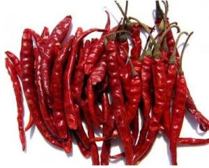 Dried Red Chili