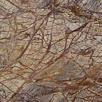 Rainforest Brown Marble Stone