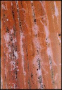 Dark Pink Makrana Marble Stone