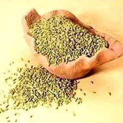 Fennel Seeds