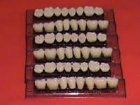 Acrylic Teeth Set