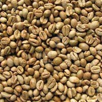 Raw Robusta Coffee Beans