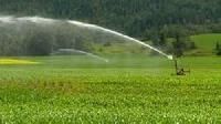 agriculture fountains