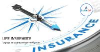 Life Insurance System Implementation by CustomSoft