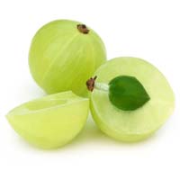 Fresh Amla