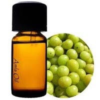 Gooseberry Oil