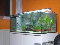 Glass Fish Aquariums