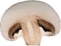 mushroom slice