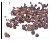 Black Pepper Extract