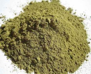 Tulsi Powder