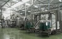 vegetables processing plants