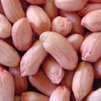 Groundnut Kernels