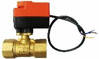 electric valve