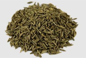 Caraway Oil