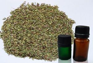 Fennel Oil