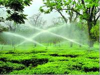Agricultural Sprinkler