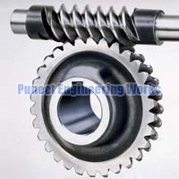 Worm Gears