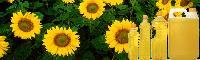 Sunflower Oil