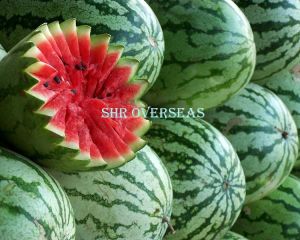 Fresh Watermelon