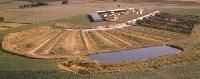 Manure Handling System