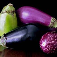 Brinjal