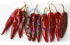 Dry Red Chili