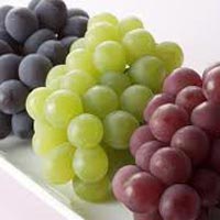 Fresh Grapes