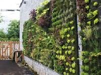 vertical garden