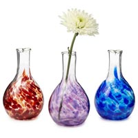 Glass Flower Vases