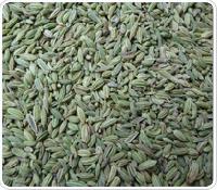 Fennel Seeds