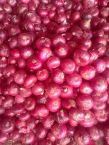 Fresh Red Onion