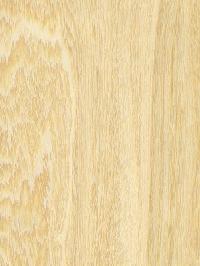 Veneer Plywood