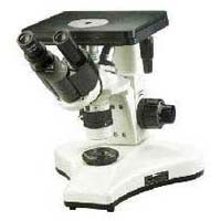 Inverted Microscopes