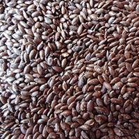 Organic & Roasted Flax Seeds (Linseed)