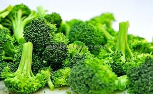 Fresh Broccoli