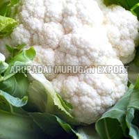 Fresh Cauliflower