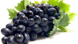 Fresh Black Grapes