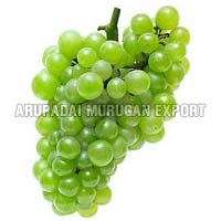 Fresh Green Grapes