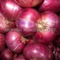 Fresh Red Onion