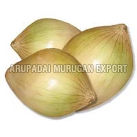 Fresh Sweet Onion