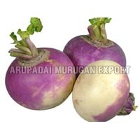 Fresh Turnip