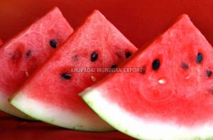 Fresh Watermelon