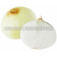 Fresh White Onion